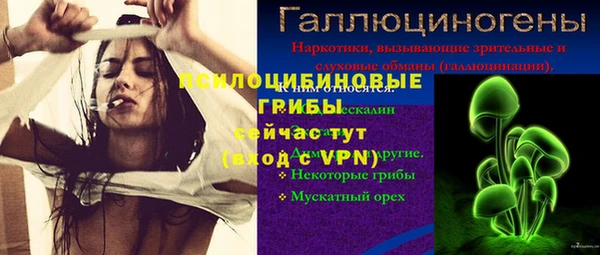 дурь Горно-Алтайск