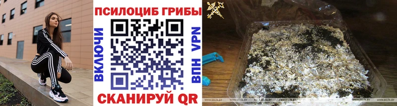 Псилоцибиновые грибы Psilocybine cubensis  купить наркотик  Елец 